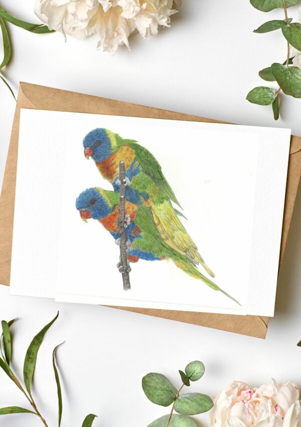 PRTCARD 252 CP Lorikeets