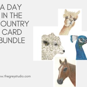 PRTCARD Bundle 300