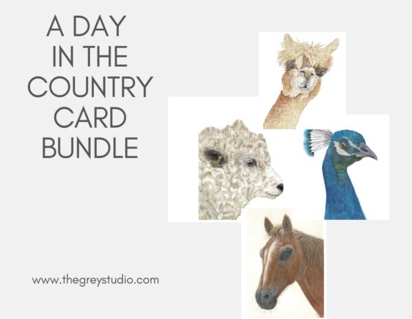 PRTCARD Bundle 300