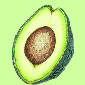PRTCARD 174 CP Avocado Lovers