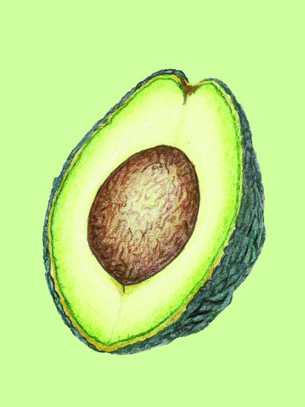 PRTCARD 174 CP Avocado Lovers