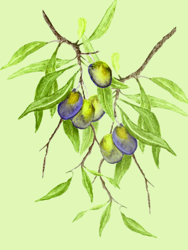 PRTCARD 224 WC - Image 2