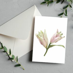 PRTCARD 155 LB WC Lily Bud
