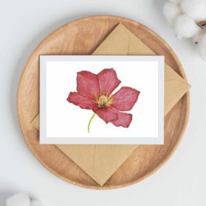 PRTCARD 160 WC