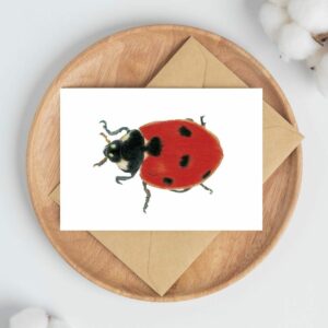 PRTCARD 168 CP Ladybird
