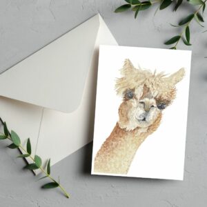 PRTCARD 189 WC Peek a Boo