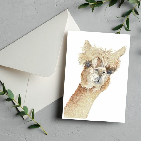 PRTCARD 189 WC Peek a Boo