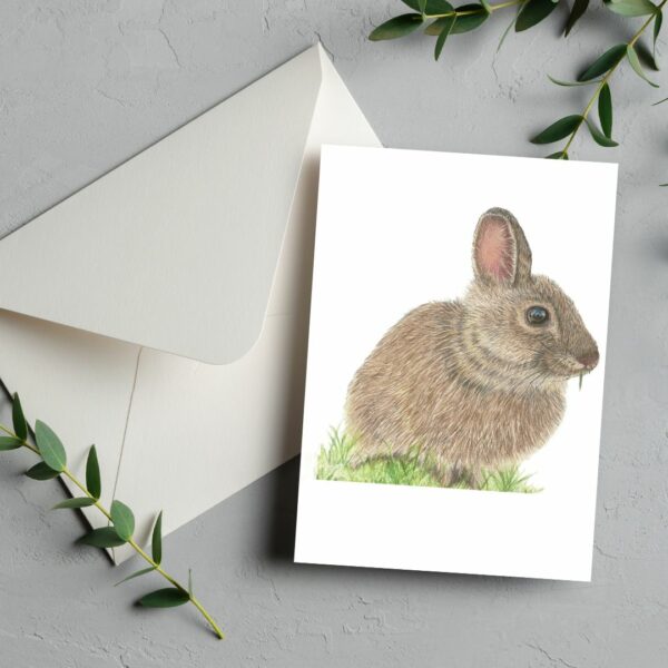 PRTCARD 279 CP Rupert