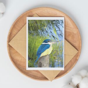 PRTCARD 231  Kotare MM