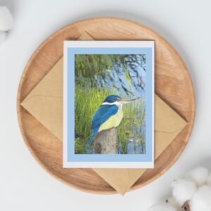 PRTCARD 232 CP Kotare Blue