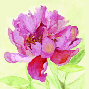 PRTCARD 166 WC  Peony