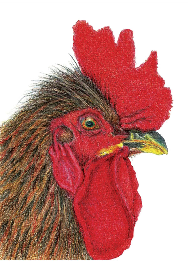 A4 ART PRINT 165 CP