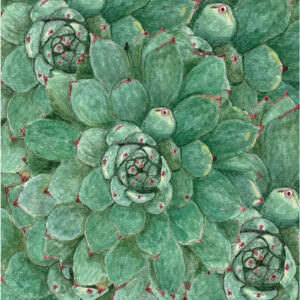 A5 ART PRINT 157 WC Succulent