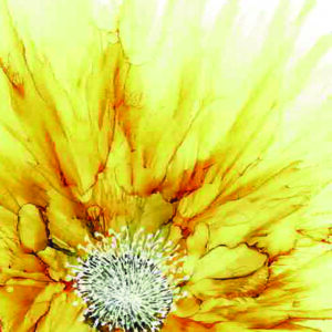 PRTCARD 211 AIC Sunflower
