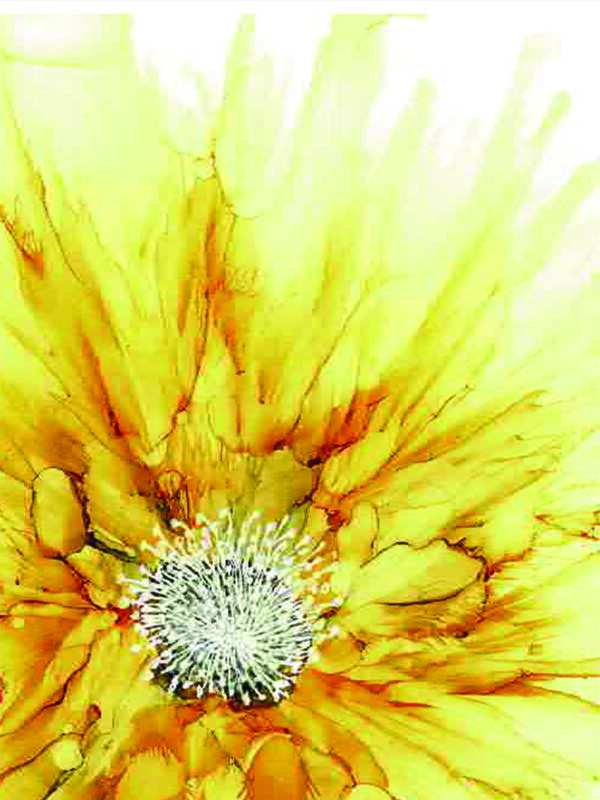 PRTCARD 211 AIC Sunflower